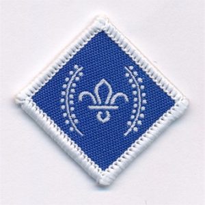 Chief Scout's Diamond Award