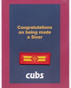 Cub Scout Sixer Leadership Stripes