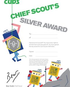 Chief Scout's Silver Award Certificate (Pack of 10)