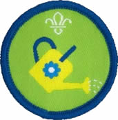 Squirrel Scout Let it Grow Activity Badge