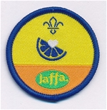 Beaver Scout Health And Fitness Activity Badge